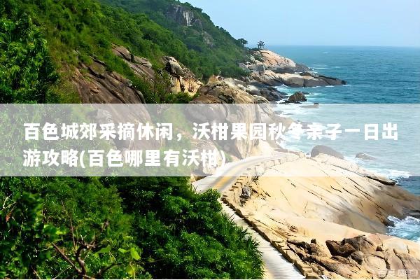 百色城郊采摘休闲，沃柑果园秋冬亲子一日出游攻略(百色哪里有沃柑)
