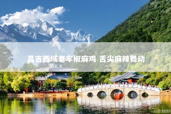 昌吉西域老车椒麻鸡 舌尖麻辣舞动