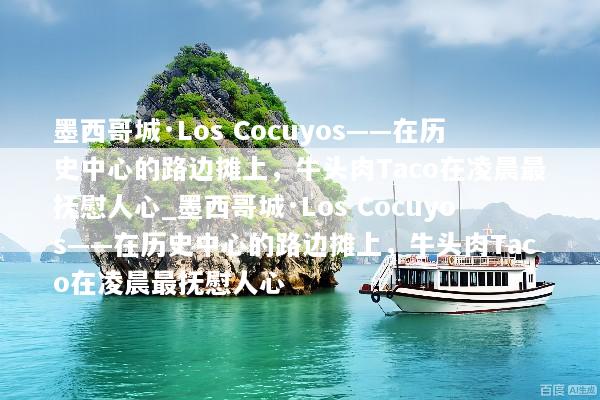 墨西哥城·Los Cocuyos——在历史中心的路边摊上，牛头肉Taco在凌晨最抚慰人心_墨西哥城·Los Cocuyos——在历史中心的路边摊上，牛头肉Taco在凌晨最抚慰人心