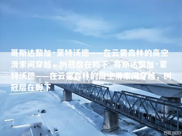 哥斯达黎加·蒙特沃德——在云雾森林的高空滑索间穿越，树冠层在脚下_哥斯达黎加·蒙特沃德——在云雾森林的高空滑索间穿越，树冠层在脚下