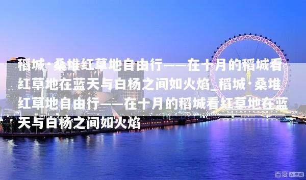 文章配图