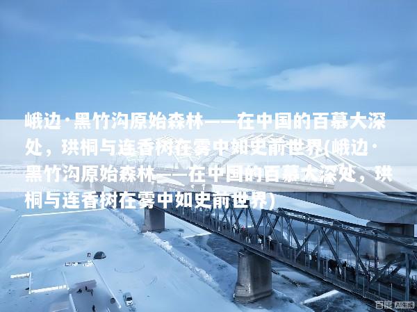 文章配图