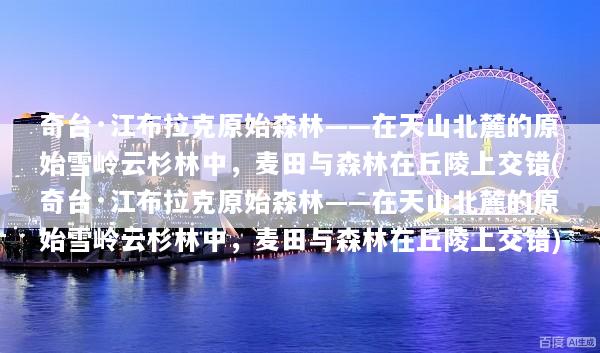 奇台·江布拉克原始森林——在天山北麓的原始雪岭云杉林中，麦田与森林在丘陵上交错(奇台·江布拉克原始森林——在天山北麓的原始雪岭云杉林中，麦田与森林在丘陵上交错)