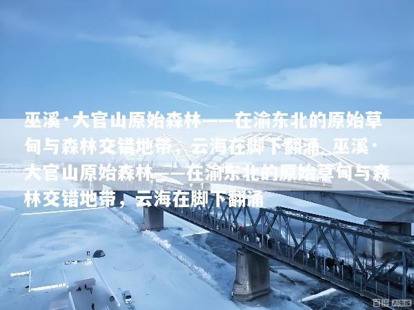 巫溪·大官山原始森林——在渝东北的原始草甸与森林交错地带，云海在脚下翻涌_巫溪·大官山原始森林——在渝东北的原始草甸与森林交错地带，云海在脚下翻涌