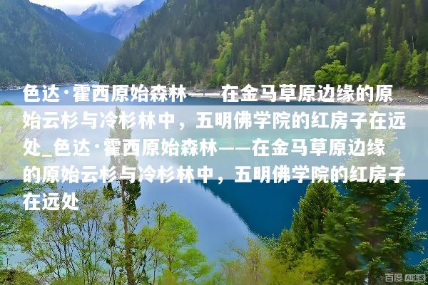 色达·霍西原始森林——在金马草原边缘的原始云杉与冷杉林中，五明佛学院的红房子在远处_色达·霍西原始森林——在金马草原边缘的原始云杉与冷杉林中，五明佛学院的红房子在远处