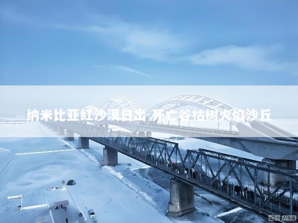 纳米比亚红沙漠日出 死亡谷枯树火焰沙丘