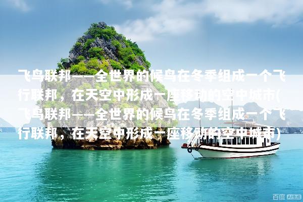 飞鸟联邦——全世界的候鸟在冬季组成一个飞行联邦，在天空中形成一座移动的空中城市(飞鸟联邦——全世界的候鸟在冬季组成一个飞行联邦，在天空中形成一座移动的空中城市)