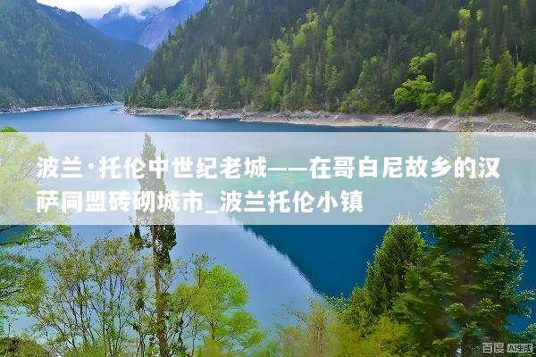 波兰·托伦中世纪老城——在哥白尼故乡的汉萨同盟砖砌城市_波兰托伦小镇