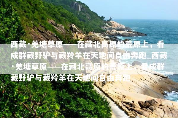 西藏·羌塘草原——在藏北高原的荒原上，看成群藏野驴与藏羚羊在天地间自由奔跑_西藏·羌塘草原——在藏北高原的荒原上，看成群藏野驴与藏羚羊在天地间自由奔跑