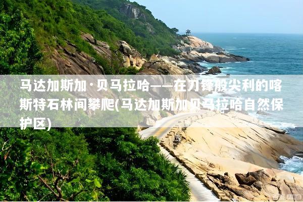 马达加斯加·贝马拉哈——在刀锋般尖利的喀斯特石林间攀爬(马达加斯加贝马拉哈自然保护区)
