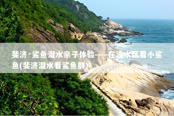 斐济·鲨鱼潜水亲子体验——在浅水区看小鲨鱼(斐济潜水看鲨鱼群)